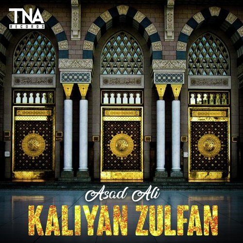 Asad Ali Songs MP3 Download